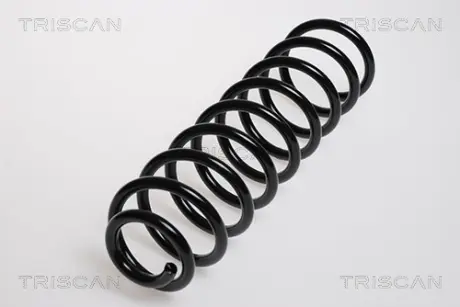 Пружина ходовой части TRISCAN 875029106