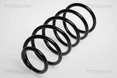 Пружина ходовой части TRISCAN 875029111