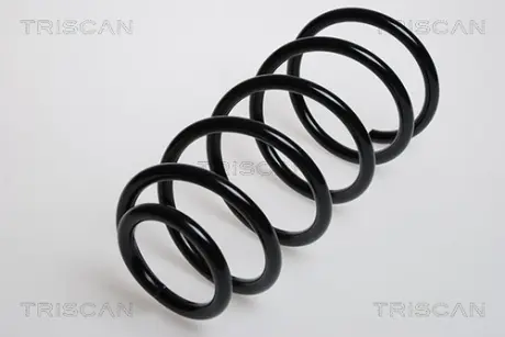 Пружина ходовой части TRISCAN 875029113