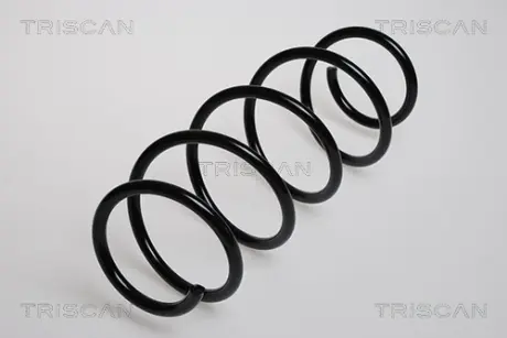 Пружина ходовой части TRISCAN 875029121