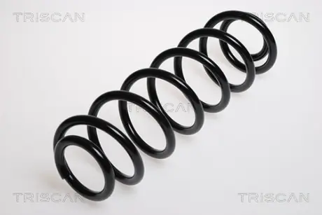 Пружина ходовой части TRISCAN 875029125