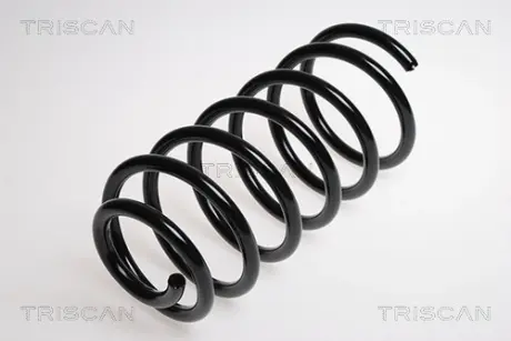 Пружина ходовой части TRISCAN 875029127
