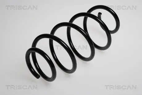Пружина ходовой части TRISCAN 875029130
