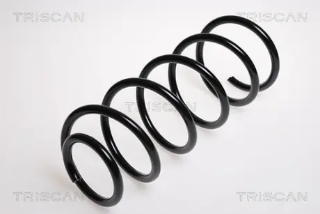 Пружина ходовой части TRISCAN 875029132