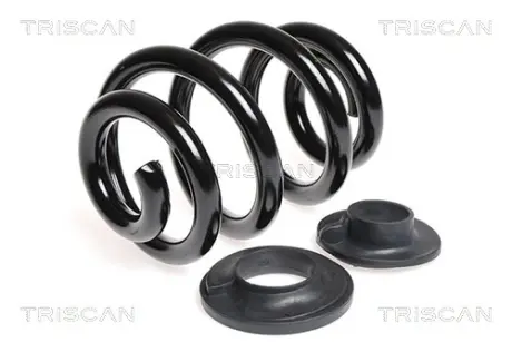 Пружина ходовой части TRISCAN 875029136