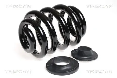 Пружина ходовой части TRISCAN 875029137
