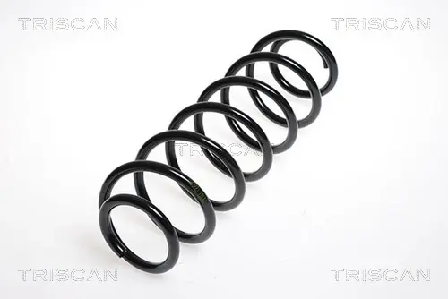 Пружина ходовой части TRISCAN 875029139 (фото 1)