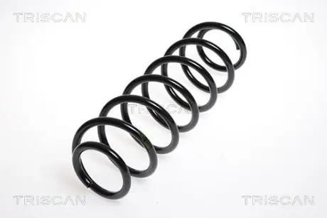 Пружина ходовой части TRISCAN 875029139