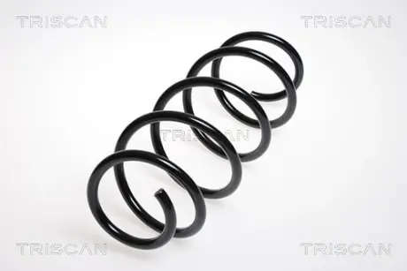 Пружина ходовой части TRISCAN 875029140