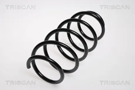 Пружина ходовой части TRISCAN 875029141
