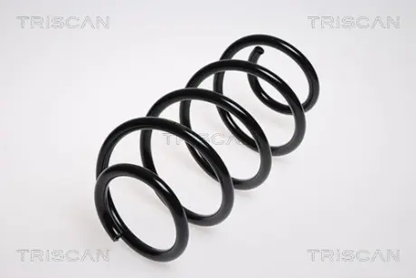 Пружина ходовой части TRISCAN 875029144