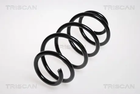 Пружина ходовой части TRISCAN 875029145