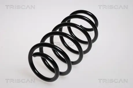 Пружина ходовой части TRISCAN 875029146