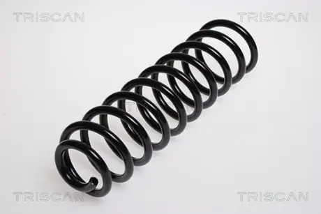 Пружина ходовой части TRISCAN 875029148