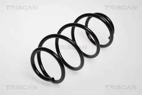 Пружина ходовой части TRISCAN 875029149