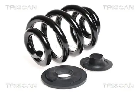 Пружина ходовой части TRISCAN 875029150