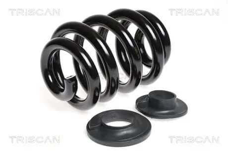 Пружина ходовой части TRISCAN 875029152