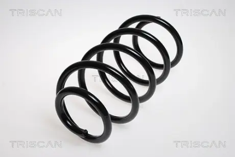 Пружина ходовой части TRISCAN 875029153
