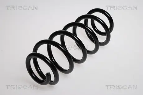 Пружина ходовой части TRISCAN 875029154