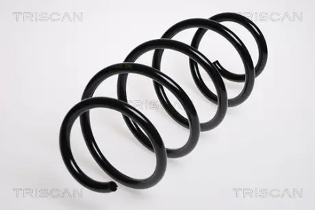 Пружина ходовой части TRISCAN 875029156