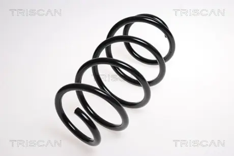 Пружина ходовой части TRISCAN 875029174