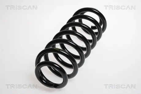 Пружина ходовой части TRISCAN 875029175