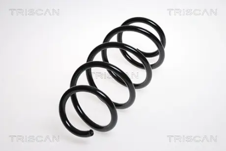 Пружина ходовой части TRISCAN 875029176