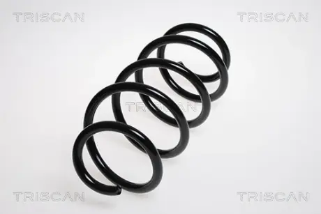 Пружина ходовой части TRISCAN 875029177