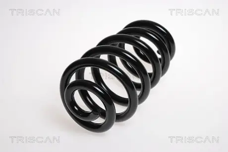 Пружина ходовой части TRISCAN 875029179