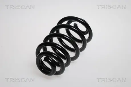 Пружина ходовой части TRISCAN 875029181