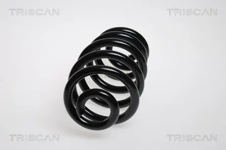 Пружина ходовой части TRISCAN 875029182