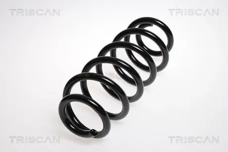 Пружина ходовой части TRISCAN 875029183