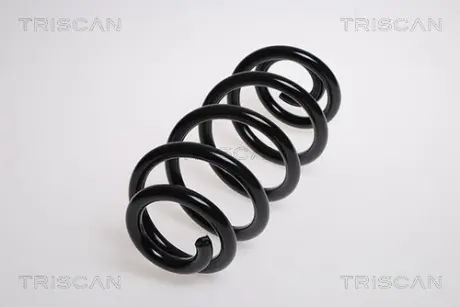 Пружина ходовой части TRISCAN 875029184