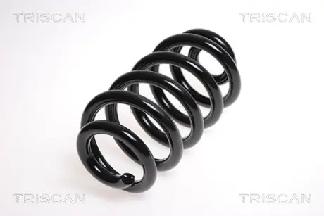 Пружина ходовой части TRISCAN 875029186