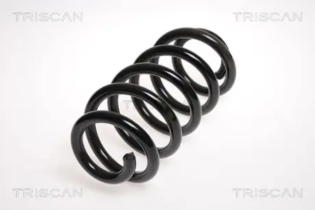 Пружина ходовой части TRISCAN 875029188
