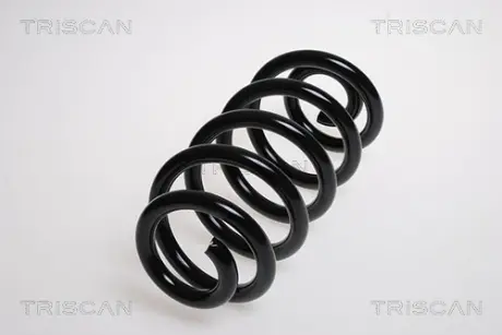 Пружина ходовой части TRISCAN 875029189