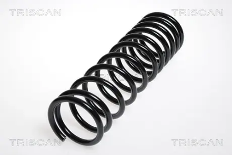 Пружина ходовой части TRISCAN 87502918