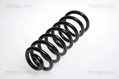 Пружина ходовой части TRISCAN 875029192