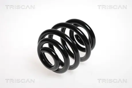 Пружина ходовой части TRISCAN 875029193