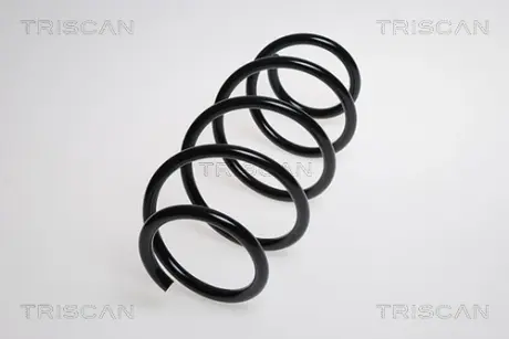 Пружина ходовой части TRISCAN 875029194