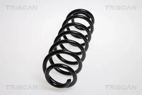 Пружина ходовой части TRISCAN 875029196