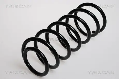 Пружина ходовой части TRISCAN 875029200