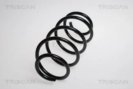 Пружина ходовой части TRISCAN 875029202