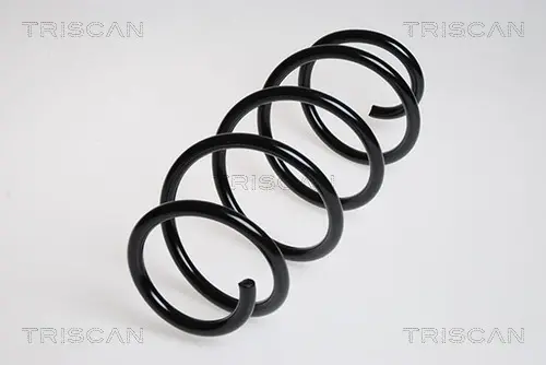 Пружина ходовой части TRISCAN 875029207 (фото 1)