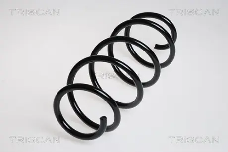 Пружина ходовой части TRISCAN 875029207