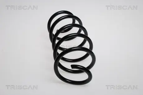 Пружина ходовой части TRISCAN 875029212