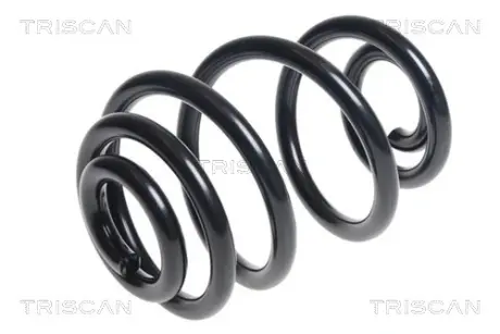 Пружина ходовой части TRISCAN 875029214