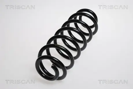 Пружина ходовой части TRISCAN 875029217