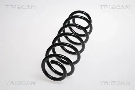 Пружина ходовой части TRISCAN 875029222