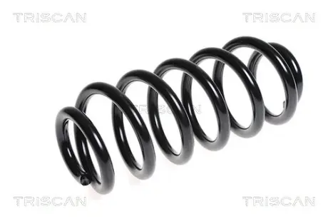 Пружина ходовой части TRISCAN 875029225